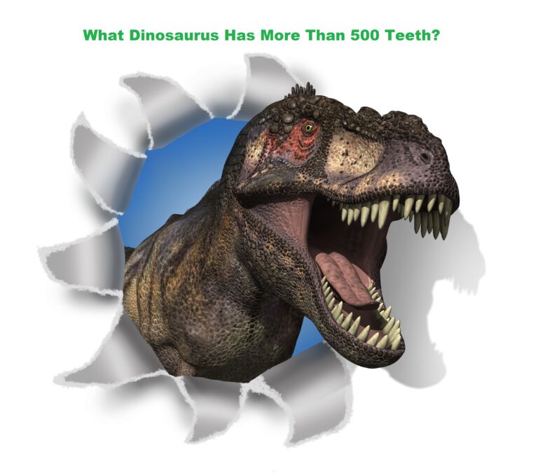 what dinosaur has 500 teeth what dinosaur has 500 teeth