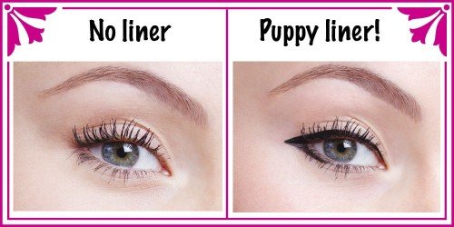 Way to apply Puppy Eyeliner